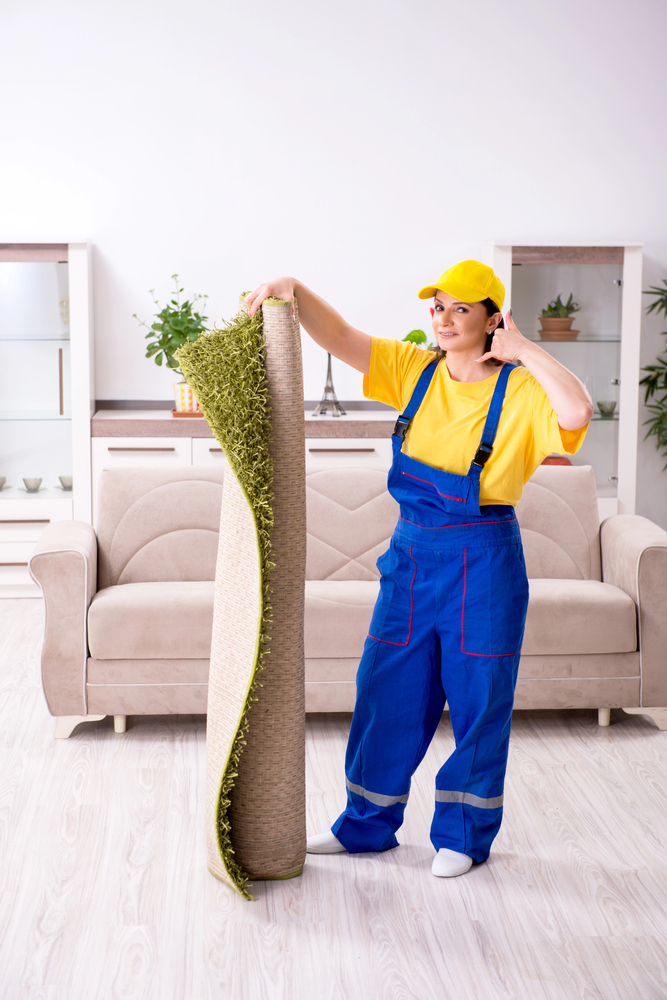 Professional Carpet Cleaning Services in Fairburn GA