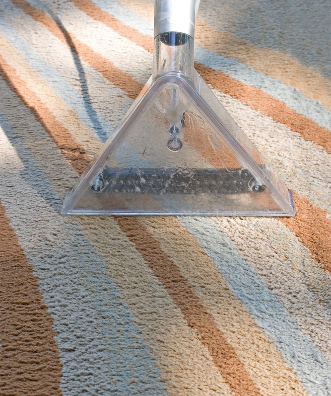 Pet Odor and Stain Removal in Fairburn GA - Professional Pet Damage Cleaning